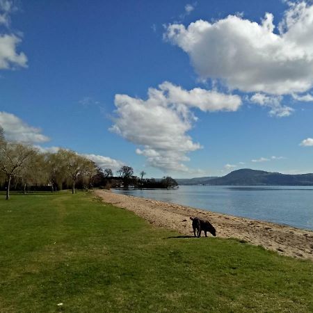 Great View Near Rotorua Lake מראה חיצוני תמונה