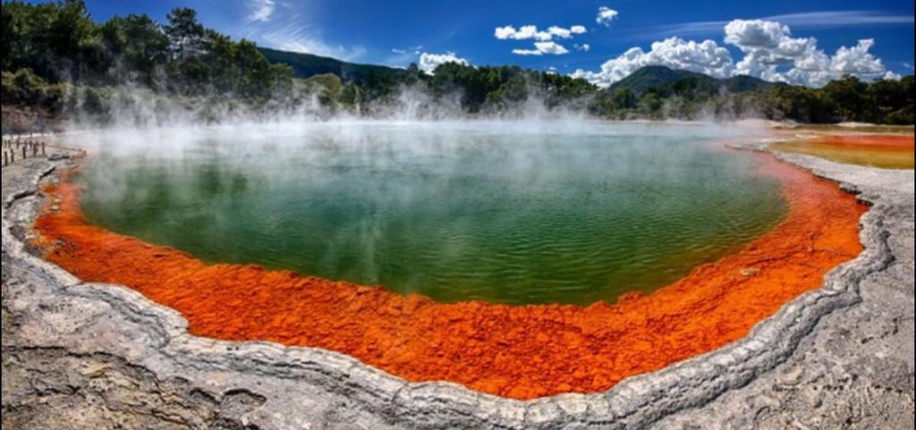 Great View Near Rotorua Lake מראה חיצוני תמונה